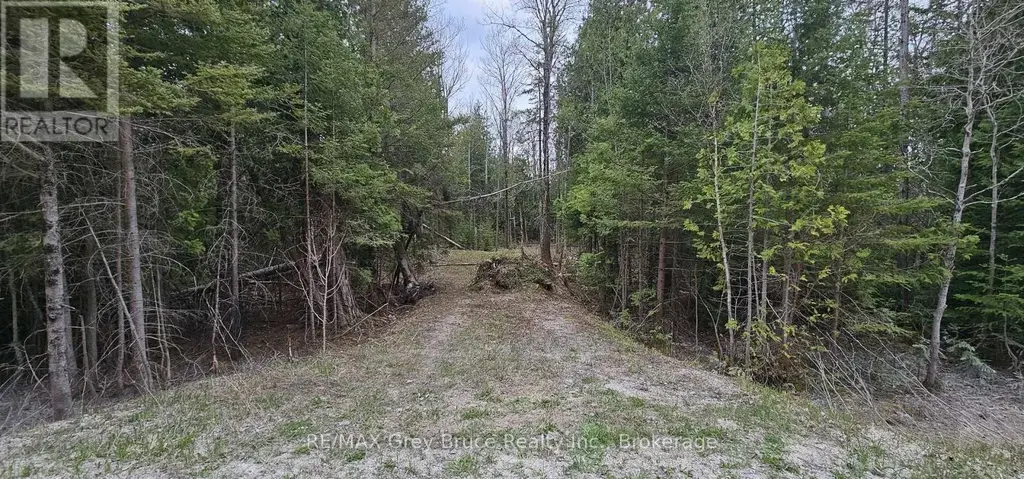 43 Hardwick Cove Road, Northern Bruce Peninsula